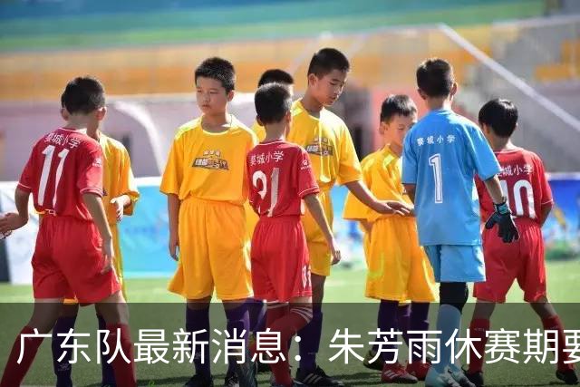广东队最新消息：朱芳雨休赛期要敲定三件事，续约奎因最是关键